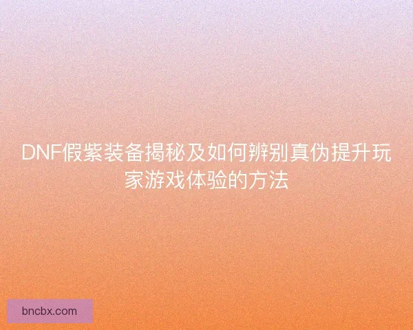 DNF假紫装备揭秘及如何辨别真伪提升玩家游戏体验的方法